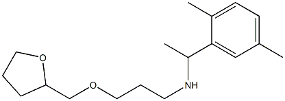  [1-(2,5-dimethylphenyl)ethyl][3-(oxolan-2-ylmethoxy)propyl]amine