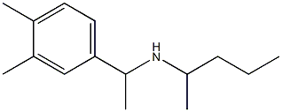 [1-(3,4-dimethylphenyl)ethyl](pentan-2-yl)amine 结构式