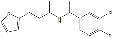 [1-(3-chloro-4-fluorophenyl)ethyl][4-(furan-2-yl)butan-2-yl]amine|