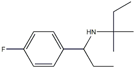 [1-(4-fluorophenyl)propyl](2-methylbutan-2-yl)amine|