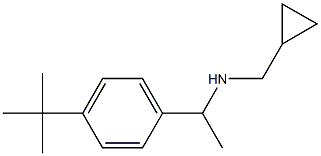 [1-(4-tert-butylphenyl)ethyl](cyclopropylmethyl)amine Structure