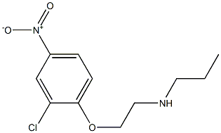 [2-(2-chloro-4-nitrophenoxy)ethyl](propyl)amine Structure