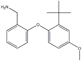 [2-(2-tert-butyl-4-methoxyphenoxy)phenyl]methanamine 化学構造式