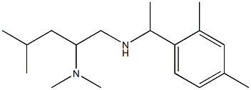 [2-(dimethylamino)-4-methylpentyl][1-(2,4-dimethylphenyl)ethyl]amine