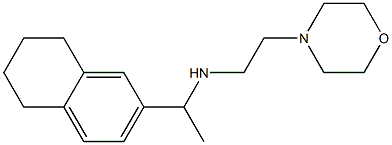 [2-(morpholin-4-yl)ethyl][1-(5,6,7,8-tetrahydronaphthalen-2-yl)ethyl]amine|