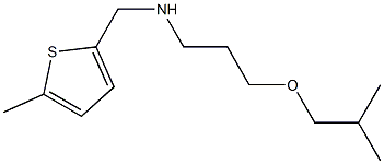 [3-(2-methylpropoxy)propyl][(5-methylthiophen-2-yl)methyl]amine Structure