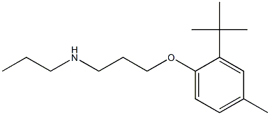  [3-(2-tert-butyl-4-methylphenoxy)propyl](propyl)amine