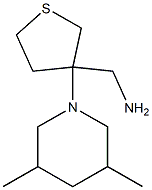 [3-(3,5-dimethylpiperidin-1-yl)tetrahydrothien-3-yl]methylamine,,结构式