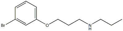 [3-(3-bromophenoxy)propyl](propyl)amine|