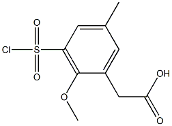  [3-(chlorosulfonyl)-2-methoxy-5-methylphenyl]acetic acid