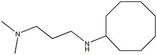 [3-(cyclooctylamino)propyl]dimethylamine 结构式