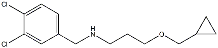  [3-(cyclopropylmethoxy)propyl][(3,4-dichlorophenyl)methyl]amine