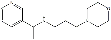 [3-(morpholin-4-yl)propyl][1-(pyridin-3-yl)ethyl]amine