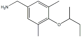 [4-(butan-2-yloxy)-3,5-dimethylphenyl]methanamine