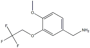 [4-methoxy-3-(2,2,2-trifluoroethoxy)phenyl]methanamine,,结构式