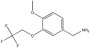  [4-methoxy-3-(2,2,2-trifluoroethoxy)phenyl]methanamine