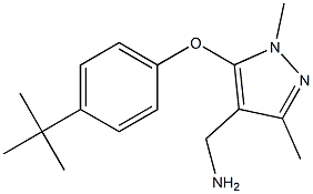  [5-(4-tert-butylphenoxy)-1,3-dimethyl-1H-pyrazol-4-yl]methanamine