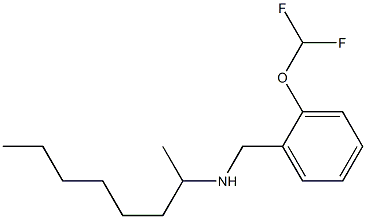 {[2-(difluoromethoxy)phenyl]methyl}(octan-2-yl)amine