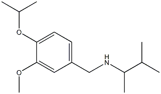 {[3-methoxy-4-(propan-2-yloxy)phenyl]methyl}(3-methylbutan-2-yl)amine Structure