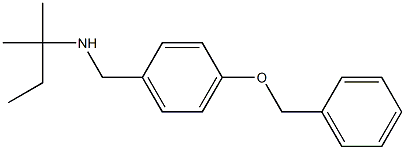 {[4-(benzyloxy)phenyl]methyl}(2-methylbutan-2-yl)amine,,结构式