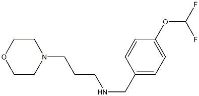 {[4-(difluoromethoxy)phenyl]methyl}[3-(morpholin-4-yl)propyl]amine,,结构式