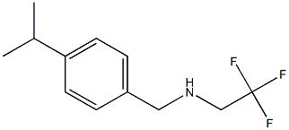 {[4-(propan-2-yl)phenyl]methyl}(2,2,2-trifluoroethyl)amine Struktur