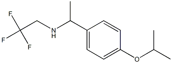 {1-[4-(propan-2-yloxy)phenyl]ethyl}(2,2,2-trifluoroethyl)amine|