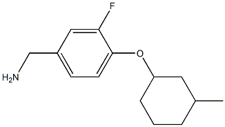 {3-fluoro-4-[(3-methylcyclohexyl)oxy]phenyl}methanamine Struktur