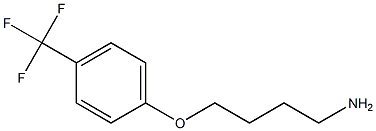 1-(4-aminobutoxy)-4-(trifluoromethyl)benzene Structure
