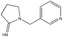 1-(pyridin-3-ylmethyl)pyrrolidin-2-imine|