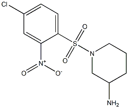 1-[(4-chloro-2-nitrobenzene)sulfonyl]piperidin-3-amine|