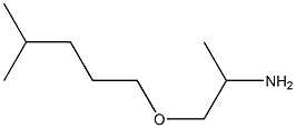 1-[(4-methylpentyl)oxy]propan-2-amine Structure