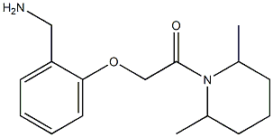 1-{2-[2-(2,6-dimethylpiperidin-1-yl)-2-oxoethoxy]phenyl}methanamine|