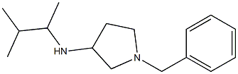 1-benzyl-N-(3-methylbutan-2-yl)pyrrolidin-3-amine