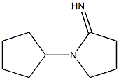 1-cyclopentylpyrrolidin-2-imine Struktur