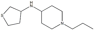 1-propyl-N-(thiolan-3-yl)piperidin-4-amine 结构式