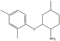 2-(2,4-dimethylphenoxy)-4-methylcyclohexan-1-amine|