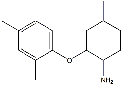 2-(2,4-dimethylphenoxy)-4-methylcyclohexan-1-amine Structure