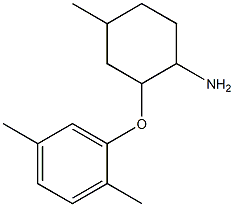 2-(2,5-dimethylphenoxy)-4-methylcyclohexan-1-amine Struktur