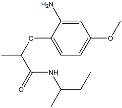 2-(2-amino-4-methoxyphenoxy)-N-(butan-2-yl)propanamide Structure