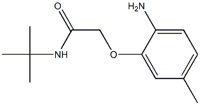 2-(2-amino-5-methylphenoxy)-N-(tert-butyl)acetamide