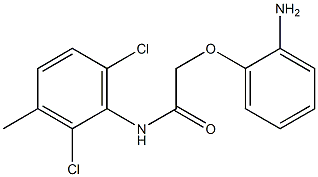 2-(2-aminophenoxy)-N-(2,6-dichloro-3-methylphenyl)acetamide Struktur