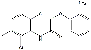 2-(2-aminophenoxy)-N-(2,6-dichloro-3-methylphenyl)acetamide 化学構造式