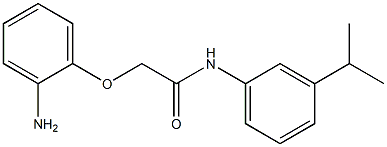 2-(2-aminophenoxy)-N-[3-(propan-2-yl)phenyl]acetamide Struktur