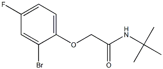 2-(2-bromo-4-fluorophenoxy)-N-(tert-butyl)acetamide Structure