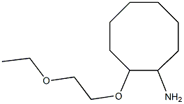 2-(2-ethoxyethoxy)cyclooctan-1-amine 化学構造式
