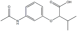  2-(3-acetamidophenoxy)-3-methylbutanoic acid