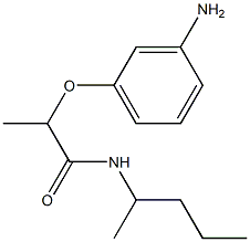 2-(3-aminophenoxy)-N-(pentan-2-yl)propanamide