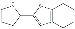 2-(4,5,6,7-tetrahydro-1-benzothiophen-2-yl)pyrrolidine 化学構造式