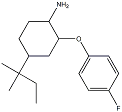 2-(4-fluorophenoxy)-4-(2-methylbutan-2-yl)cyclohexan-1-amine 结构式